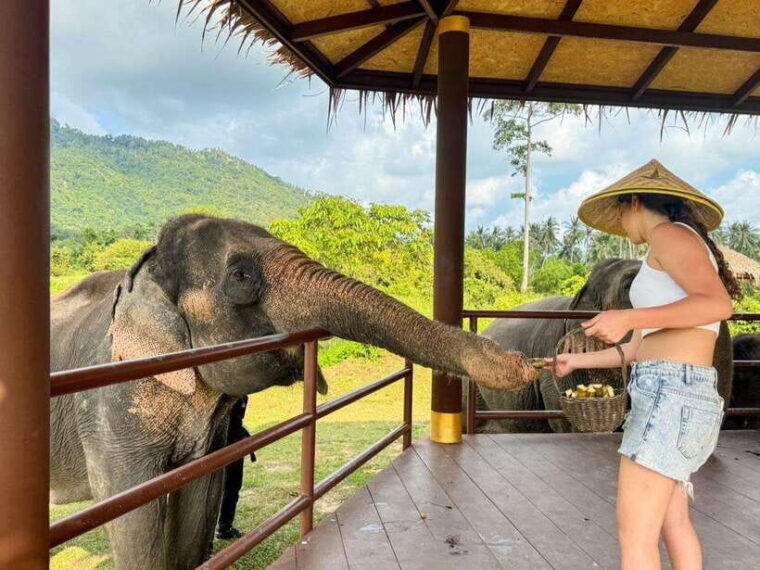 samui-the-first-elephant-museum-jungle-walk-with-elephant