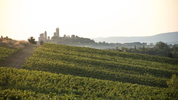 san-gimignano-wine-and-food-tasting-in-a-family-winery