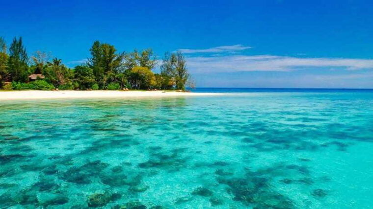 sandakan-2-days-1-night-at-turtle-island
