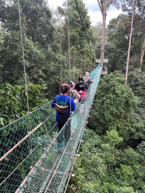 sandakan-orangutan-sanctuary-shared-day-trip-tour