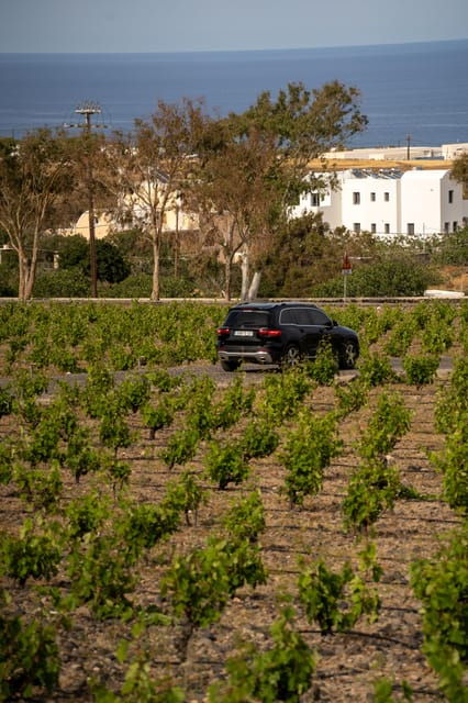 santorini-wine-o-clock-wine-tasting-private-tour