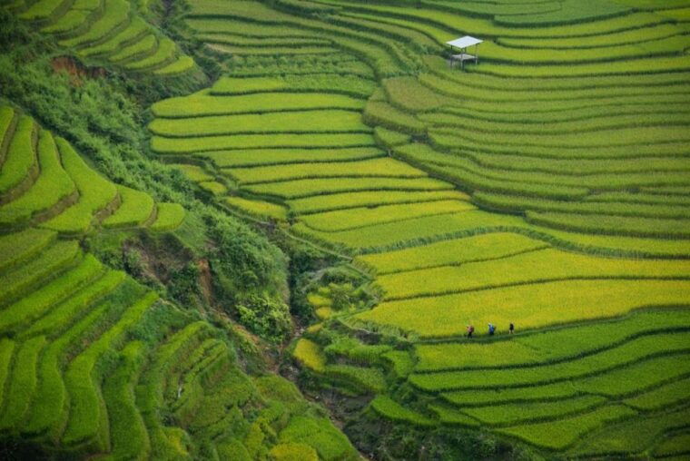sapa-3-day-trekker