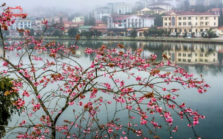 sapa-3-days-2-nights-package
