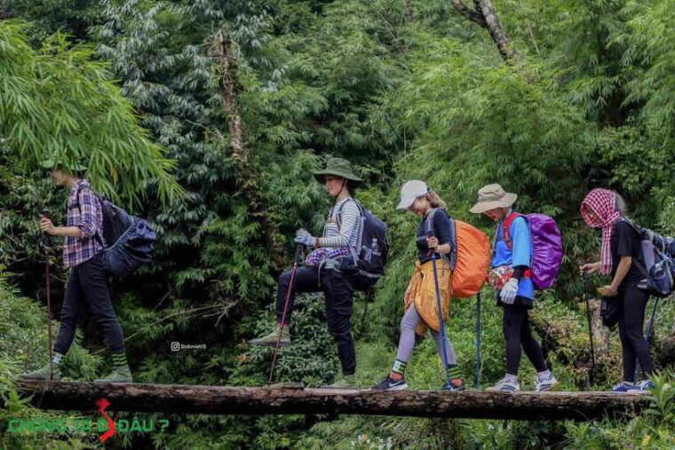 sapa-fansipan-peak-full-day-trek-with-lunch