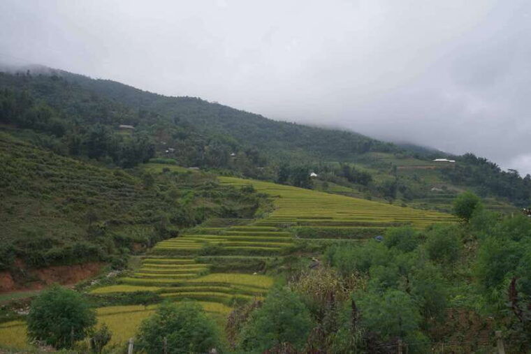 sapa-full-day-hike-to-ta-phin-cat-cat-village-with-lunch