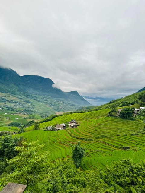 sapa-trekking-rice-fields-local-villages-bamboo-forest