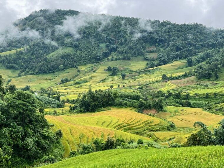 sapa-trekking-through-terraced-rice-fields-valley-1-day
