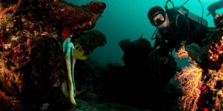 scuba-diving-in-boracay-ssi-basic-diver-for-beginners