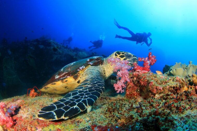 scuba-diving-tour-from-marmaris-and-icmeler