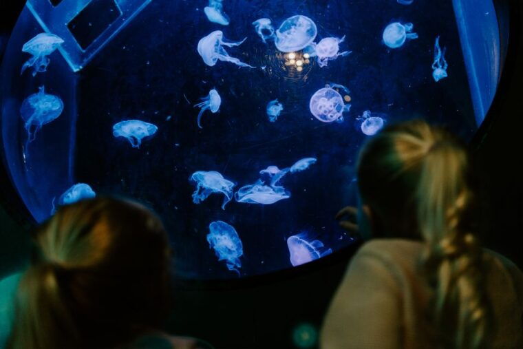 sea-life-brighton-admission-ticket-2