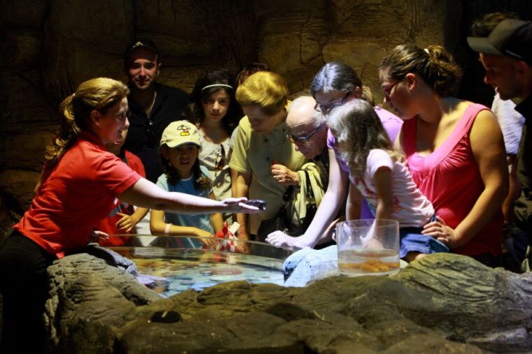 sea-life-porto-full-day-entrance-ticket