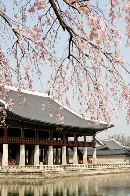 seoul-gyeongbokgung-palace-tour-lunch-at-authentic-market
