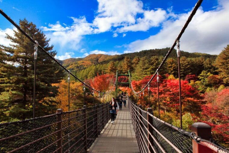 seoul-nami-and-petite-france-tour-with-optional-k-garden