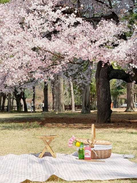 seoul-nami-island-alpaca-world-morning-calm-garden
