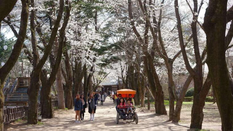 seoul-nami-island-garden-of-morning-calm-tour-rail-bike