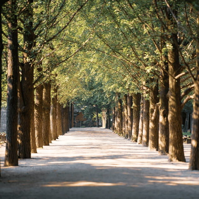 seoul-nami-rail-bike-morning-garden-healing-park