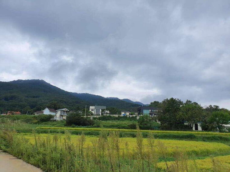 seoul-one-day-customizable-private-driver-car-tour-japanese-jp