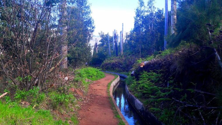 serra-de-agua-valley-levada-walk