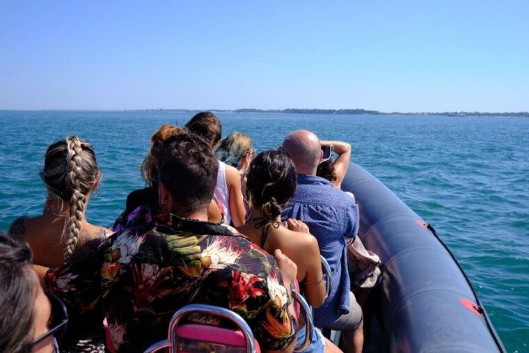 setubal-dolphin-watching-boat-tour-2