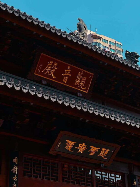 shanghai-a-day-of-culture-history-and-water-town-charm