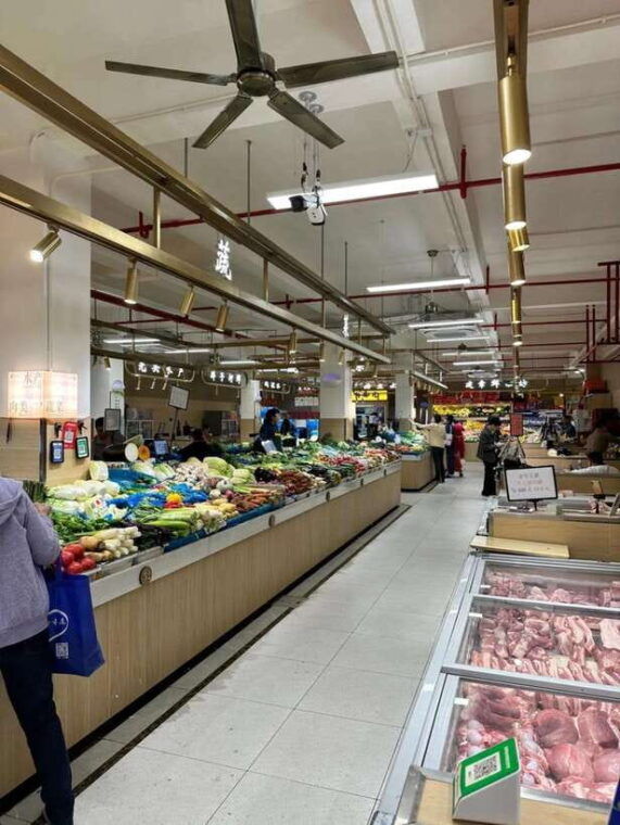 shanghai-vegan-and-vegetarian-cooking-class-with-market