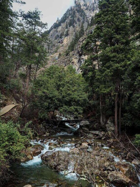 shangri-la-meili-snow-mountain-and-yubeng-village-trek