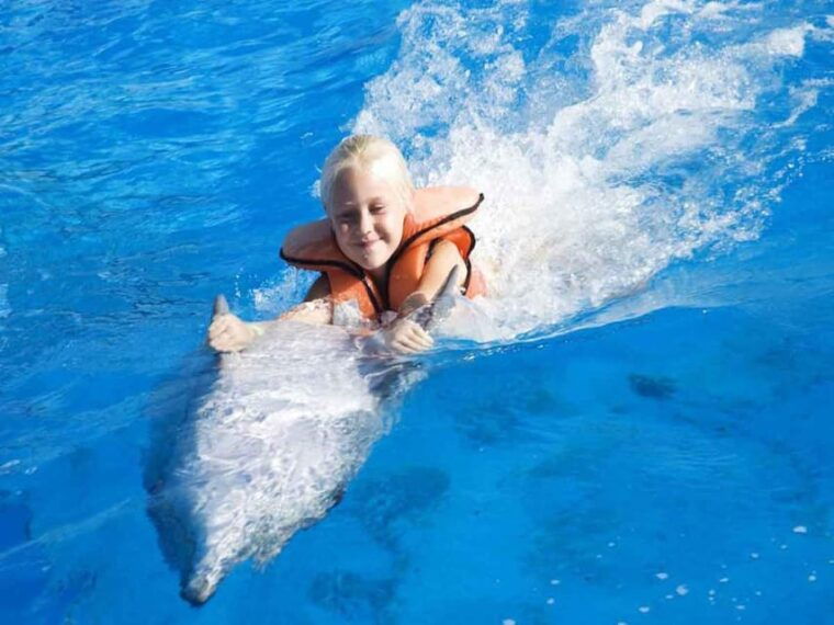 side-alanya-swimming-with-dolphins