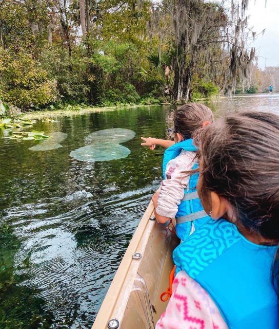 silver-springs-glass-bottom-kayak-and-wildlife-tour