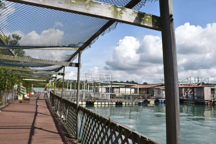 singapore-guided-boat-tour-and-kelong-fish-farm-visit