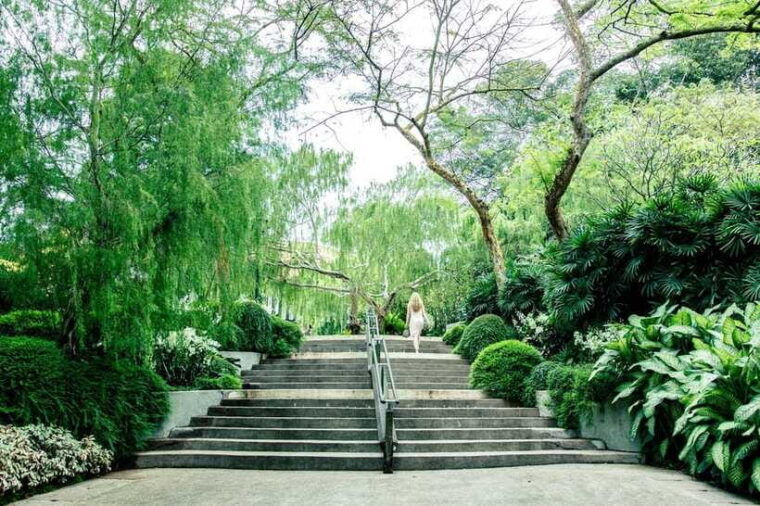 singapore-half-day-city-tour-with-hotel-transfer