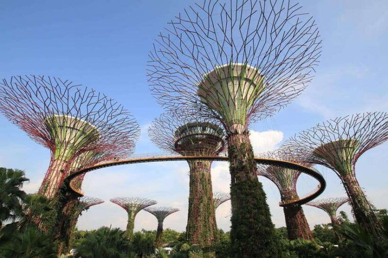 singapore-marina-bay-sands-gardens-by-the-bay-transfer