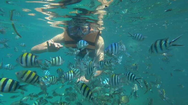 snorkeling-kayaking-fishing-swimming-activities