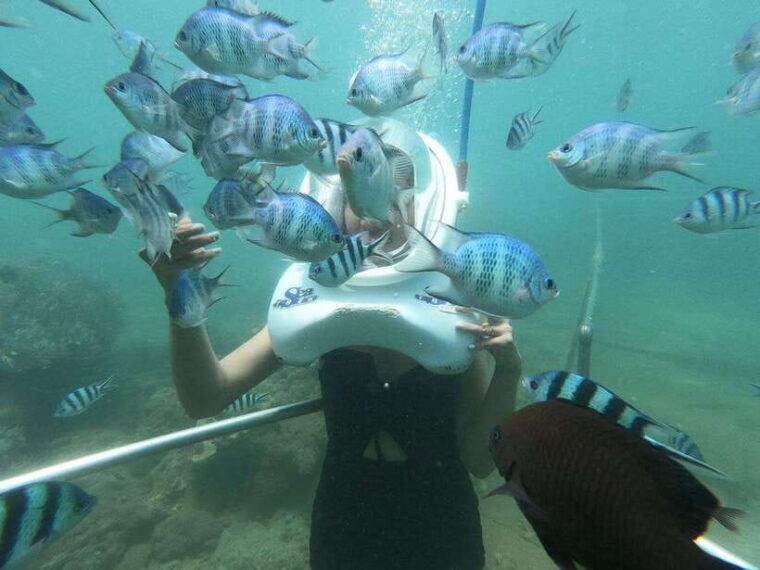 snorkeling-or-scuba-diving-in-cham-islands