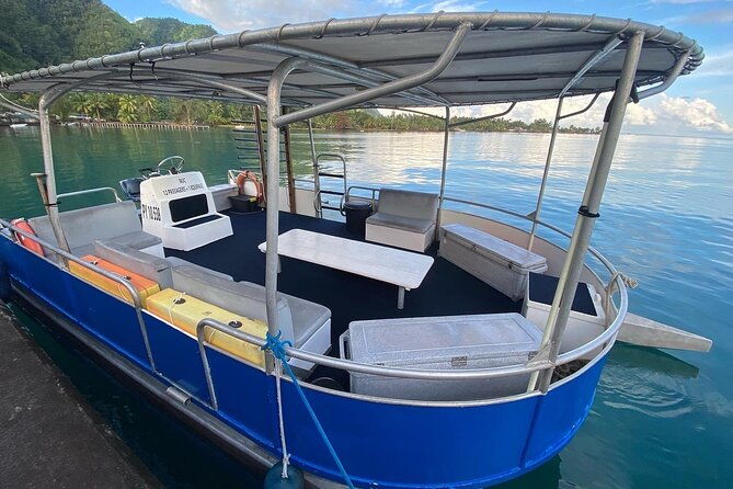 Snorkeling Tour in Tahiti on Punaauia - FAQ