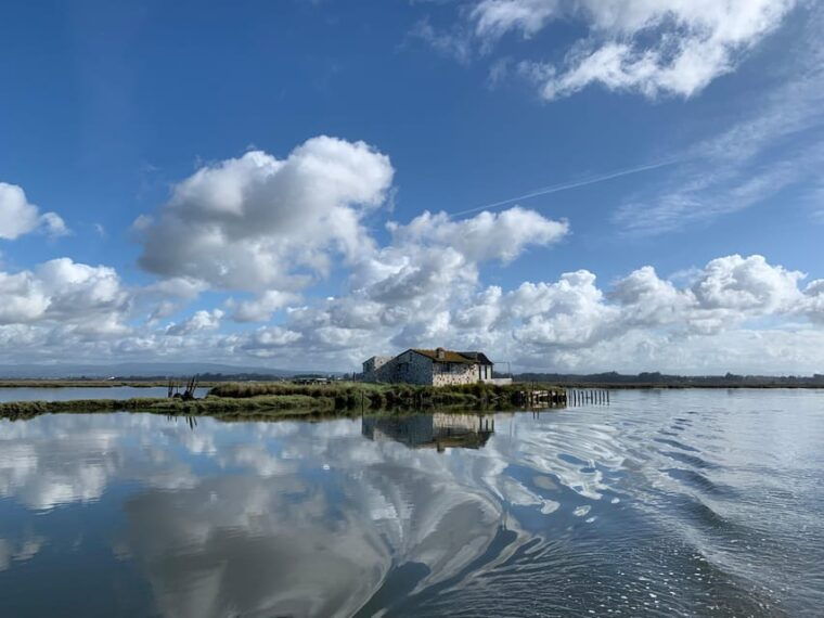solar-boat-tour-along-the-salgado-da-ria-de-aveiro