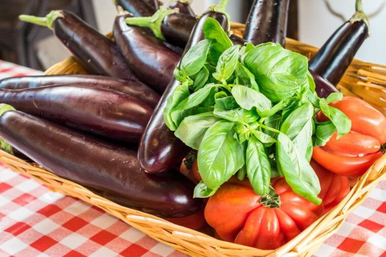sorrento-pasta-making-class