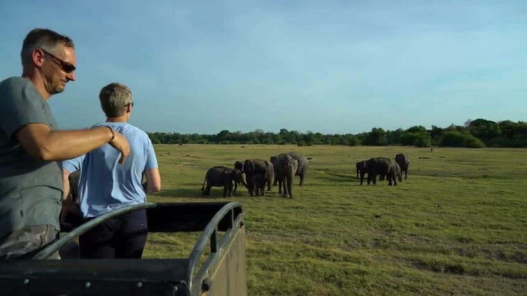sri-lanka-2-day-adventure-to-sigiriya-dambulla-kandy