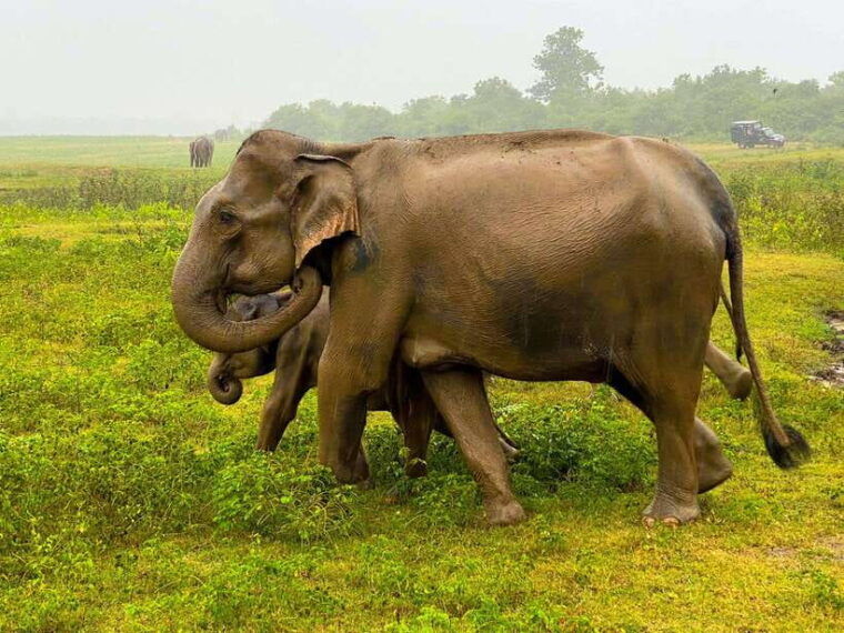 sri-lanka-4-day-tour-from-lion-rock-to-sacred-temples