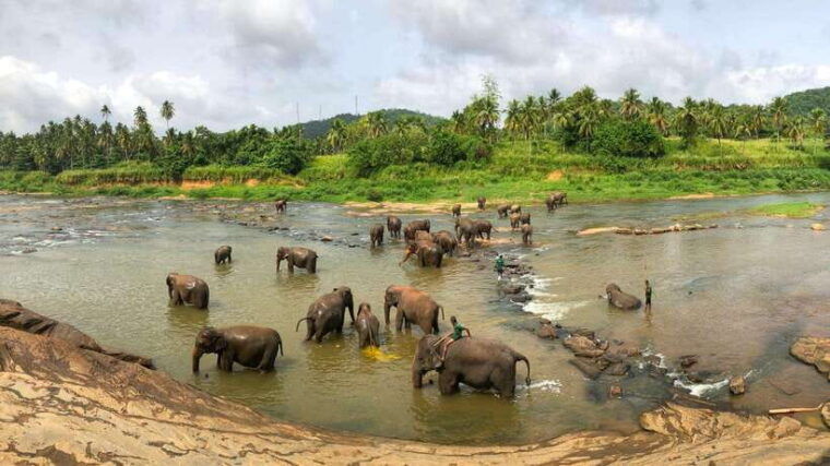 sri-lanka-ancient-wonders-sigiriya-kandy-dambulla-2-day