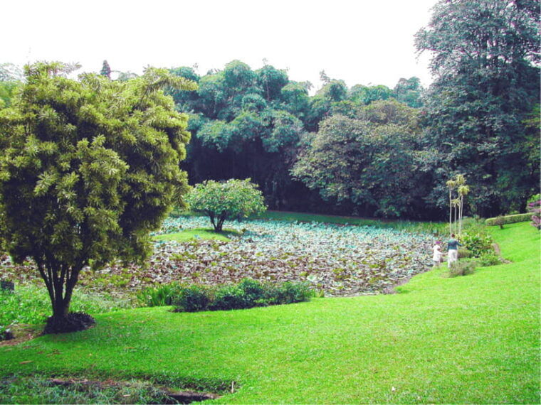 sri-lanka-cultural-triangle-private-2-day-tourwildlife-tour