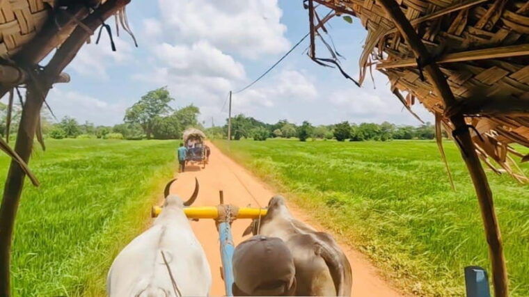 sri-lanka-culture-triangle-4-day-journey-with-3-nights-stay