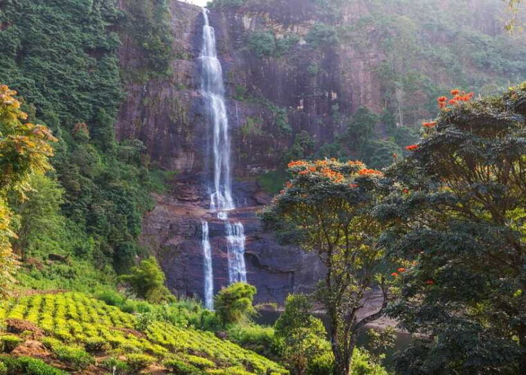 sri-lanka-private-2-day-tourtrain-trip-kandy-nuwara-eliya