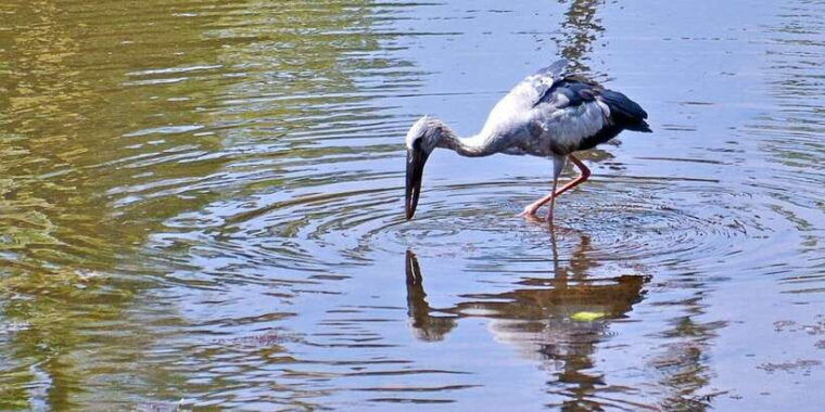 sri-lanka-private-galle-tour-stilt-fisherman-galle-fort