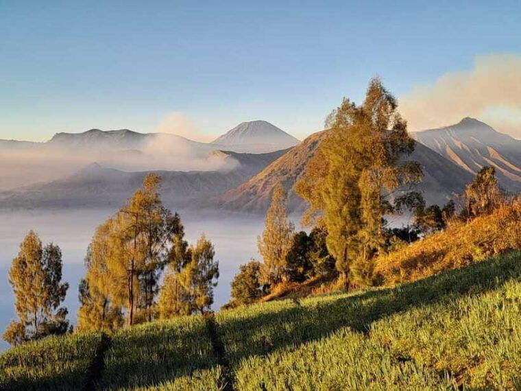 start-from-surabaya-mount-bromo-sunrise-shared-guided-tour