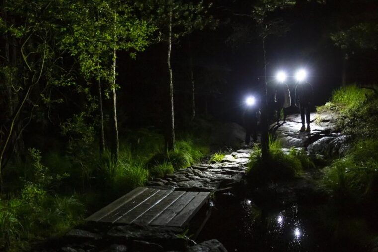 stavanger-preikestolen-sunrise-hike-with-breakfast-buffet
