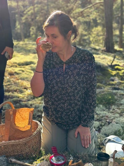 stockholm-mushroom-and-wild-plant-foraging-tour-with-expert