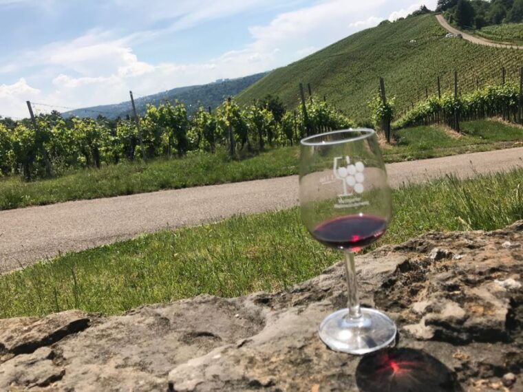 stuttgart-guided-wine-walk-wine-tasting