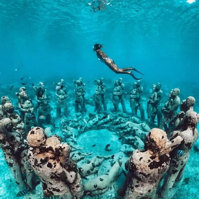 sunset-shared-snorkeling-trip