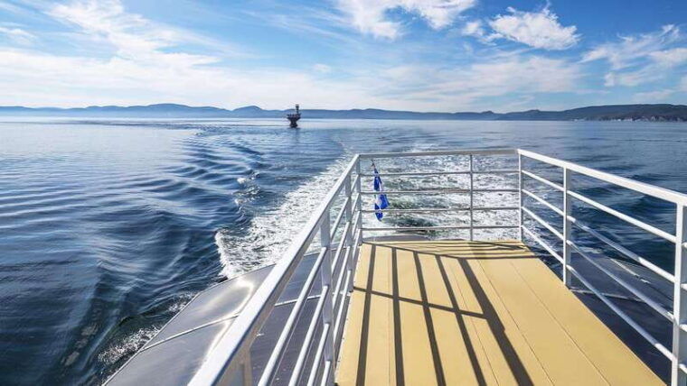 tadoussac-charlevoix-vip-lounge-upper-deck-whale-watching