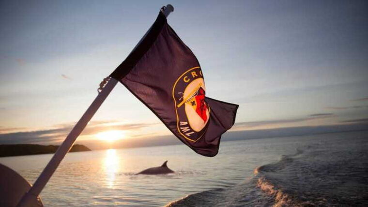 tadoussac-charlevoix-whales-fjord-morning-or-twilight